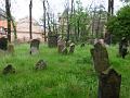 2014-04 Prague - Cimetière juif 002